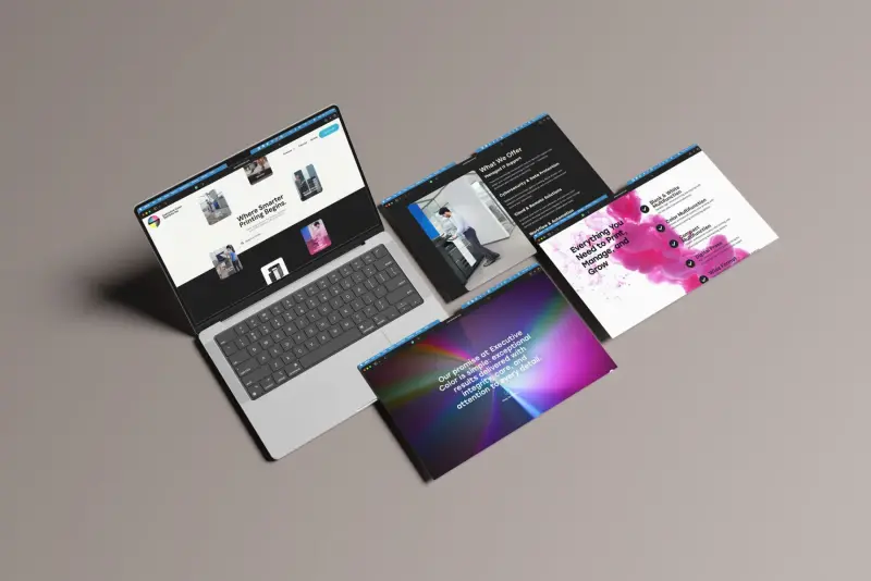 Executive Color project image