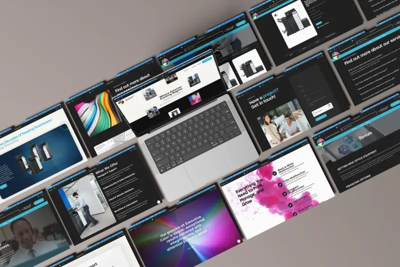 Executive Color project image